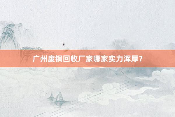 广州废铜回收厂家哪家实力浑厚？