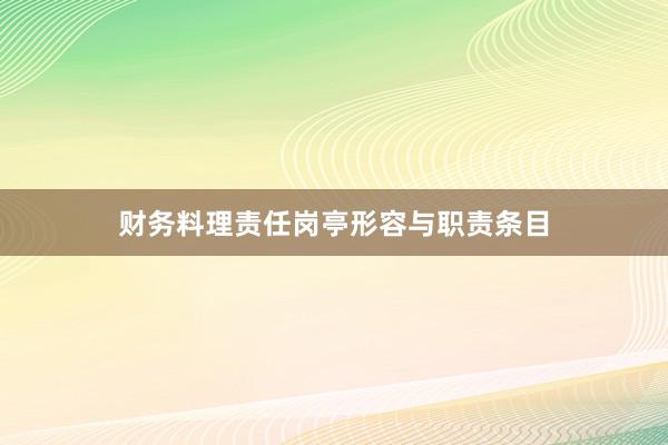 财务料理责任岗亭形容与职责条目