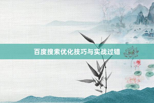 百度搜索优化技巧与实战过错