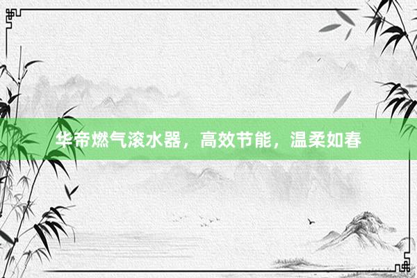 华帝燃气滚水器，高效节能，温柔如春