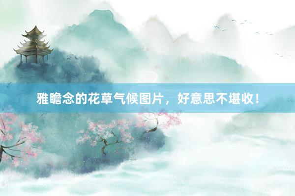 雅瞻念的花草气候图片，好意思不堪收！